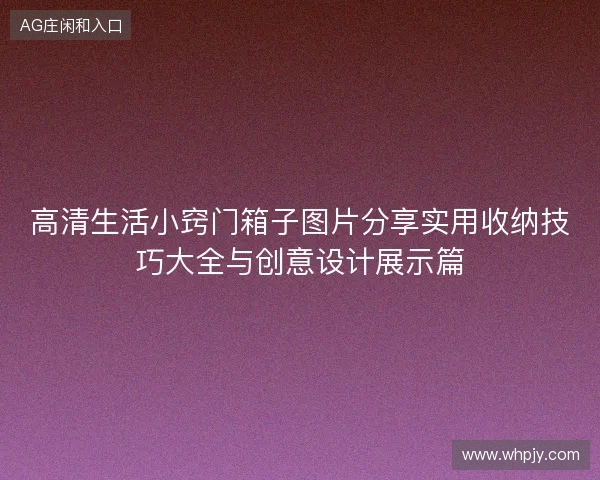高清生活小窍门箱子图片分享实用收纳技巧大全与创意设计展示篇 高清生活小窍门箱子图片分享实用收纳技巧大全与创意设计展示篇