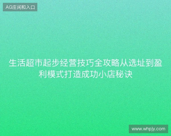 生活超市起步经营技巧全攻略从选址到盈利模式打造成功小店秘诀